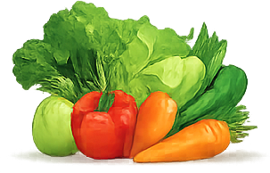 Fresh Vegetables